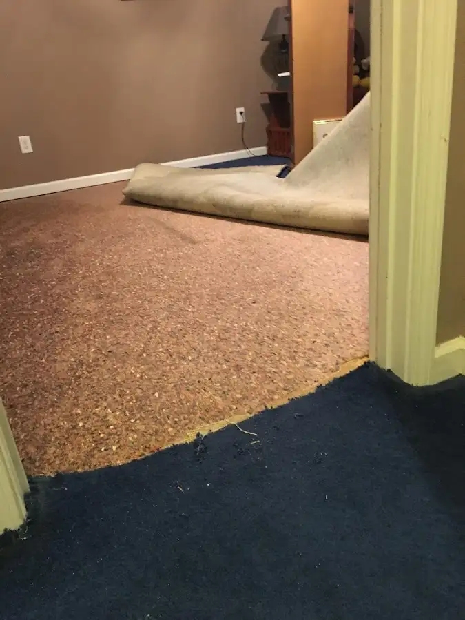 Carpet pad removal revealing water damage during Drying & Dehumidification in Alliance