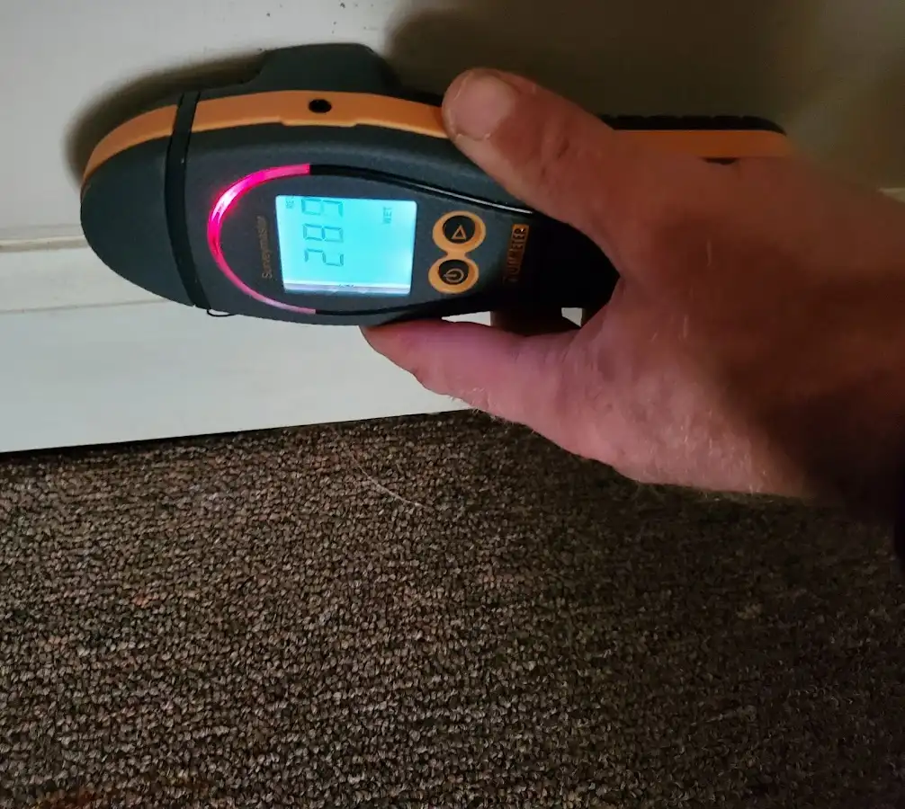 Moisture detection at baseboard during Mold Inspection & Testing in Alliance